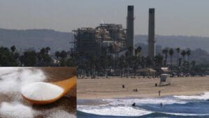 A coastal power plant with two tall chimneys stands near a beach, a site that might intrigue those interested in nature research. Inset shows a close-up of a wooden spoon with salt.