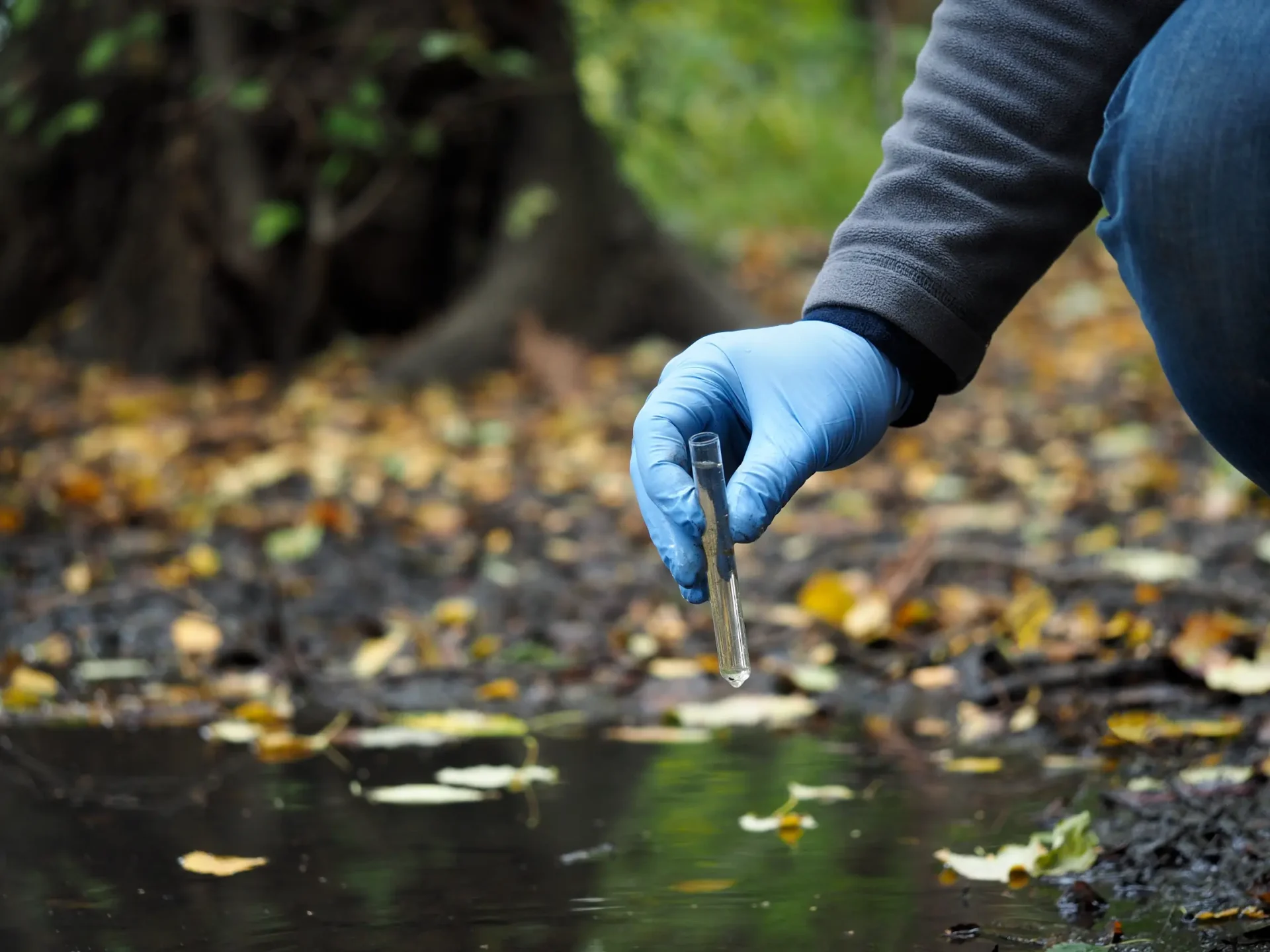 A person wearing blue gloves collects a water sample from a puddle in a wooded area, engaging in practical exploration reminiscent of Earth research courses.