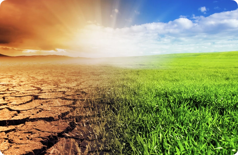 A landscape split between dry, cracked earth under an orange sky and lush green grass under a blue sky vividly illustrates the stark contrast between drought and fertile conditions, highlighting the crucial role of environmental consulting in bridging these extremes.